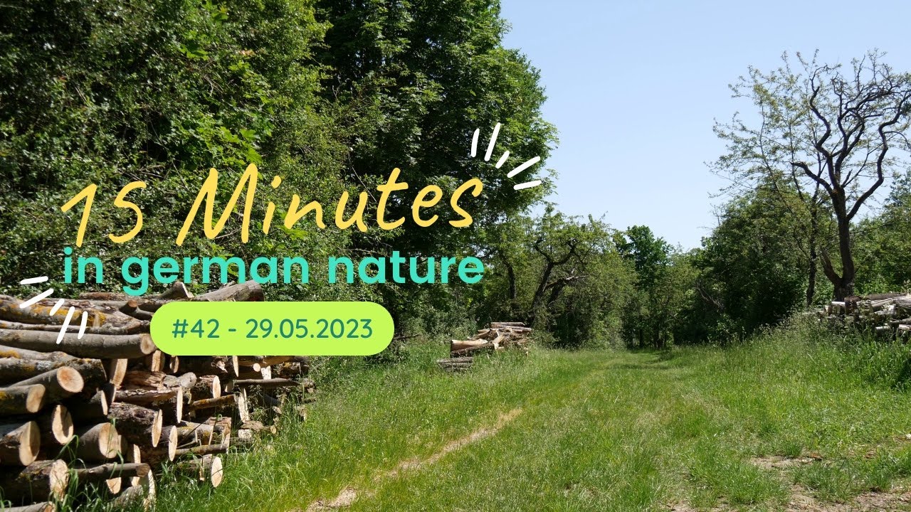15 Minutes In German Nature 42 4K YouTube 15-minutes-in-german-nature-42-4k-youtube