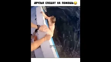 Нападение акулы,shark short #shorts