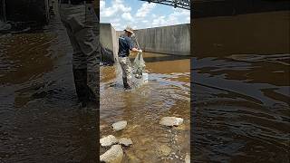 more spillway rescue action, know your laws