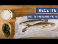 Recette de petits merlans frits 