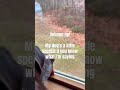 Crazy doggie! #foryou #deer#dog