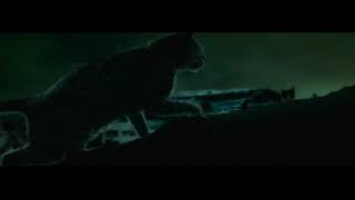 キャットウーマン  新しい命