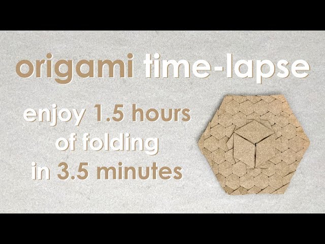 Origami Time-Lapse: 