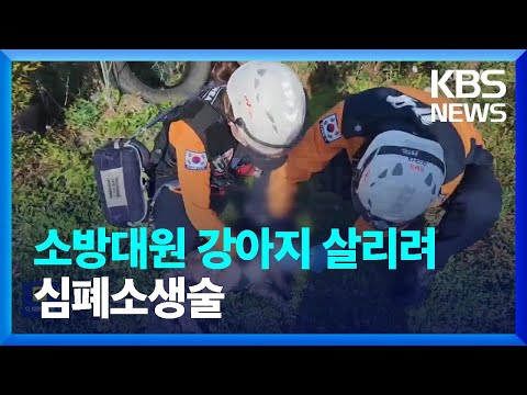 “눈 좀 떠봐, 제발”…<strong>소방대원</strong>, 강아지 살리려 심폐소생술 [잇슈 키워드] / KBS  2023.11.10.