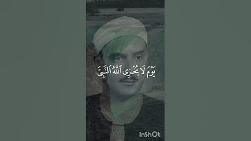 وَيُدْخِلَكُمْ جَنَّاتٍ تَجْرِي مِن تَحْتِهَا الْأَنْهَارُ يَوْمَ|المنشاوي|سورة التحريم