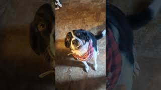 Just Me Playing With Ava. I Am So Blessed!