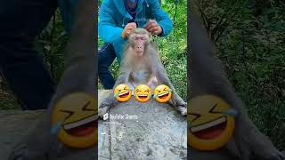 Oruçlu Iken Böyle Sitresli Olanlar Kimler