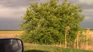 видео: Ф. 301 ч.3. картинка: Ф. 301 ч.3.