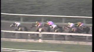 1990 Norfolk S. -- Best Pal