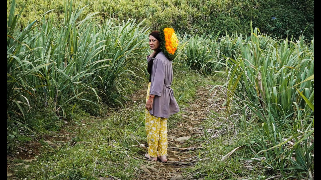 La Véritable Rose de Bourbon