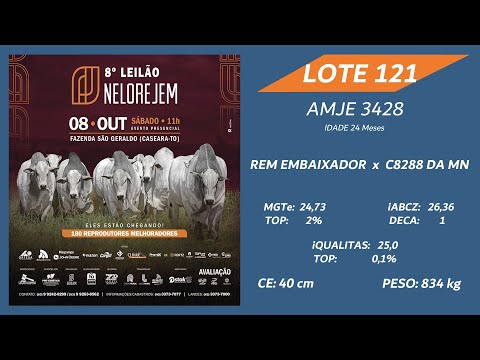 LOTE 121