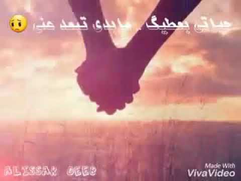 حالات واتس اب حب مابعرف شو السر