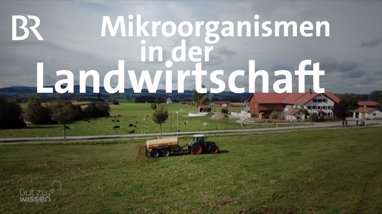 FWU -  Mikroorganismen: Bakterien