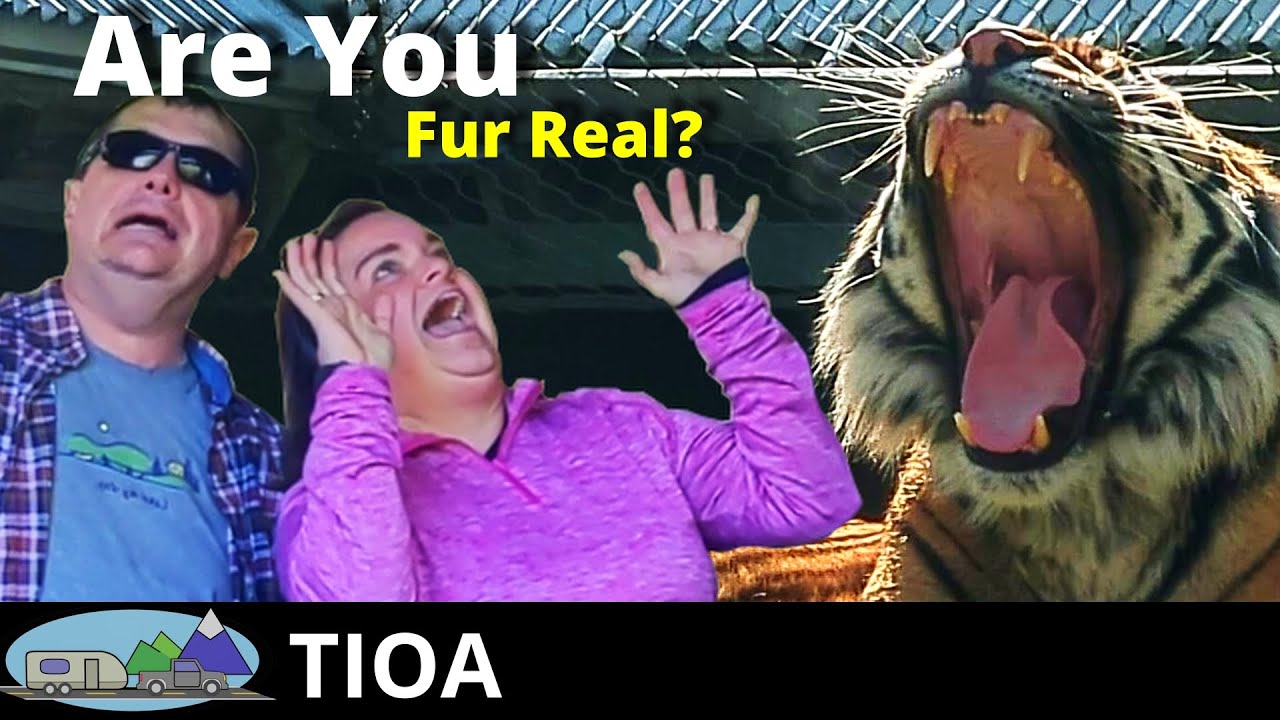 Point Defiance Zoo And Aquarium - Your Pnw Wildlife Adventure