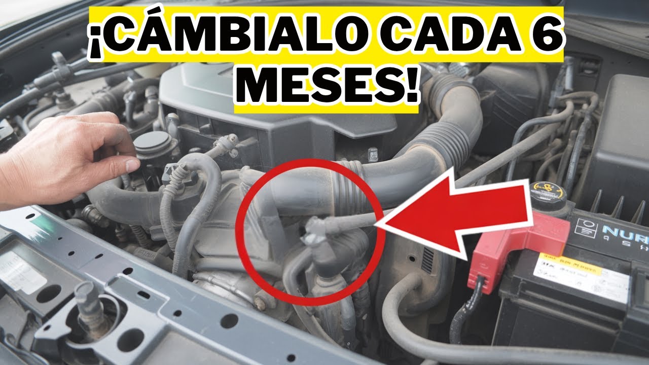 La mayoría de los coches mueren temprano—Estos 17 hábitos llevaron el mío a 700.000 millas