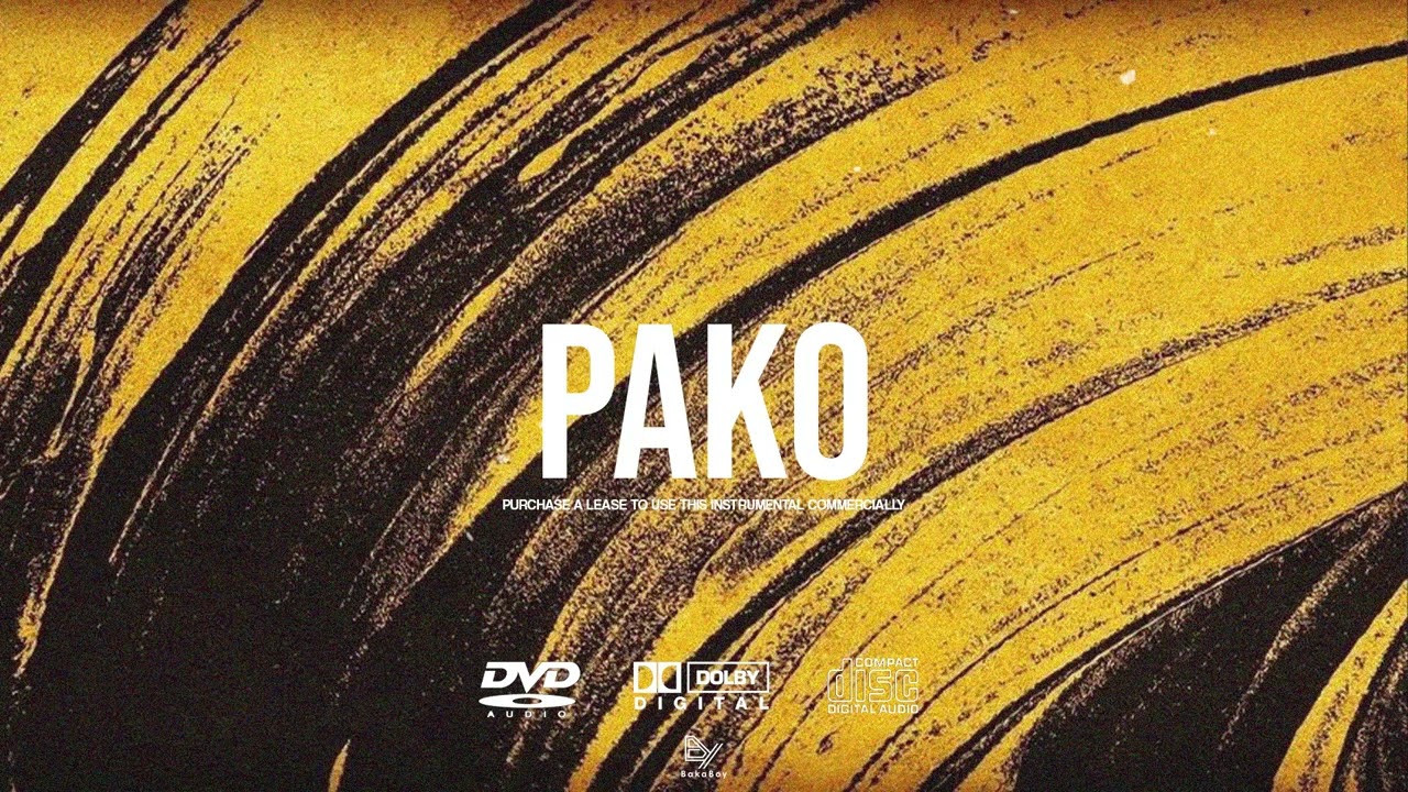 (FREE) | ''PAKO'' | Burna Boy & Popcaan & Rema Type Beat | Afrobeat Instrumental 2025