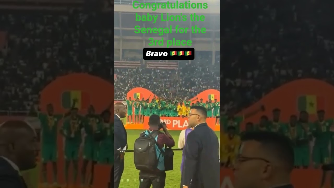 Congratulations baby Lion's the Senegal   #viral #trending #senegal #senegambia #s&eacute;n&eacute;gal #world