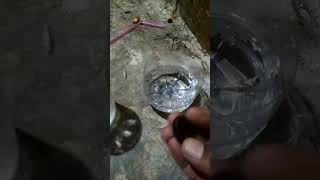 Getah Katilayu (Cara Tes Keasliannya). Getah Katilayu (Cara Tes Keasliannya).