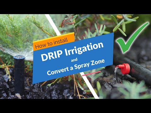 Drip Irrigation: Installation and Spray Zone Conversion (Micro Irrigation)