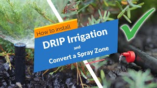 Drip Irrigation: Installation and Spray Zone Conversion (Micro Irrigation)