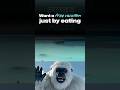 Amex Gold: Turn Dinner Into a Free Trip 🍽️✈️ | Young Money Yeti