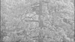 The evening of August 26th in the Big Bear Valley 2026 @FOBBVCAM