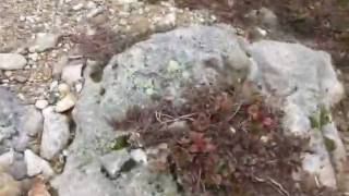Hike to Eagle Bluff viewpoint from Horseshoe bay - the last 8min