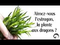 Saviezvous que lestragon ne se trouve pas  ltat sauvage en europe 