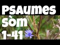 Smpsaumes 141 versyon kreyol