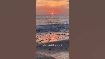 مقطع من سورة الشعراء