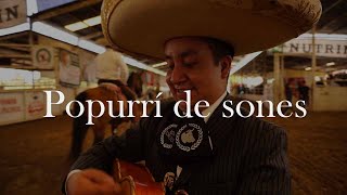 Popurrí De Sones - Mariachi Los Toritos De Alberto Ibarra