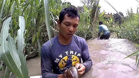 Manusia berang berang" Hanya dengan tangan kosong dapat ikan" part II