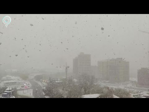 Первый снег выпал в Новосибирской области
