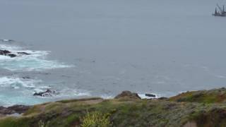 Bi Sur, California Coastline On Route 1
