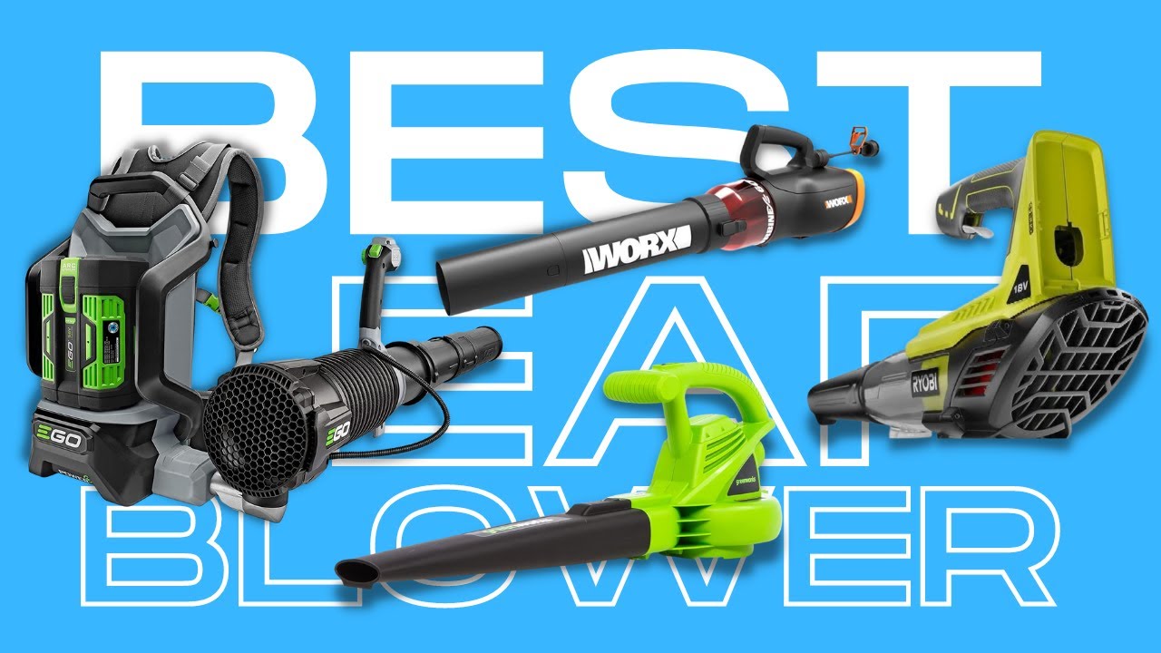 Best 5 Cordless and Electric leaf blowers 2022 classy check YouTube