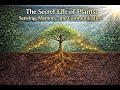 The Secret Life of Plants: Sensing, Memory, and Communication