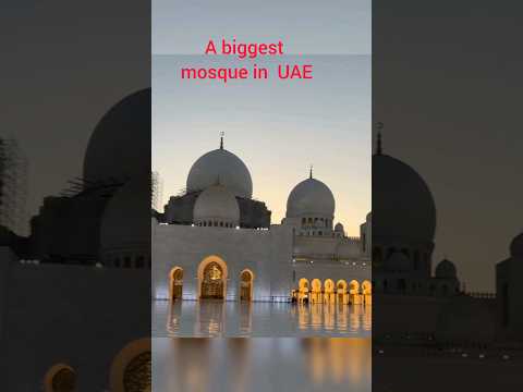 Dubai beautifull mosque 💞 #short #shorts #ytshort