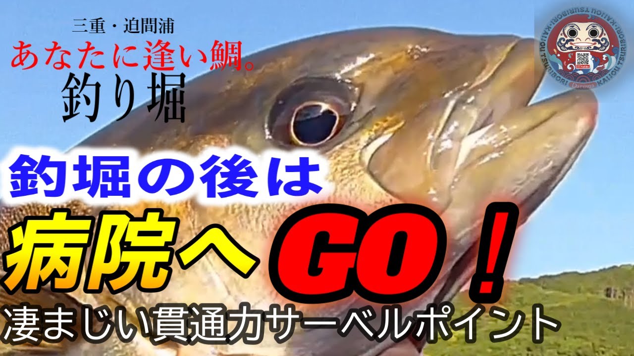 【海上釣堀】令和6年５月５日(日)あなたに逢い鯛。乗合釣行の模様です。