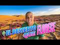 [Desierto Florido] El Fenómeno que Ocurre Cada Varios Años