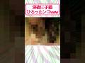 【2ch面白いスレ】深夜に子猫拾ったんやが…#2ch #2ch面白いスレ