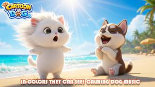 Cartoons for Dogs 🐶 Dog TV to Keep Dogs Calm, Busy & Happy While You're Away screenshot 4