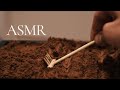 Asmr i jardin zen de cacao 