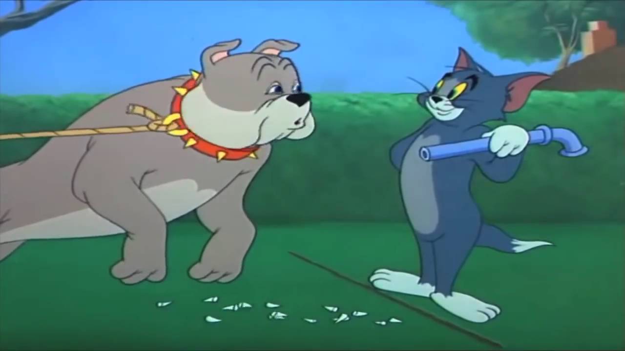 Where to watch tom and jerry episodes - ultraretail