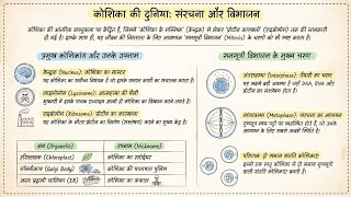 Cell Division (कोशिका विभाजन) | Mitosis (समसूत्री विभाजन) &amp; Cell Cycle | Complete Biology by Vagle 💯