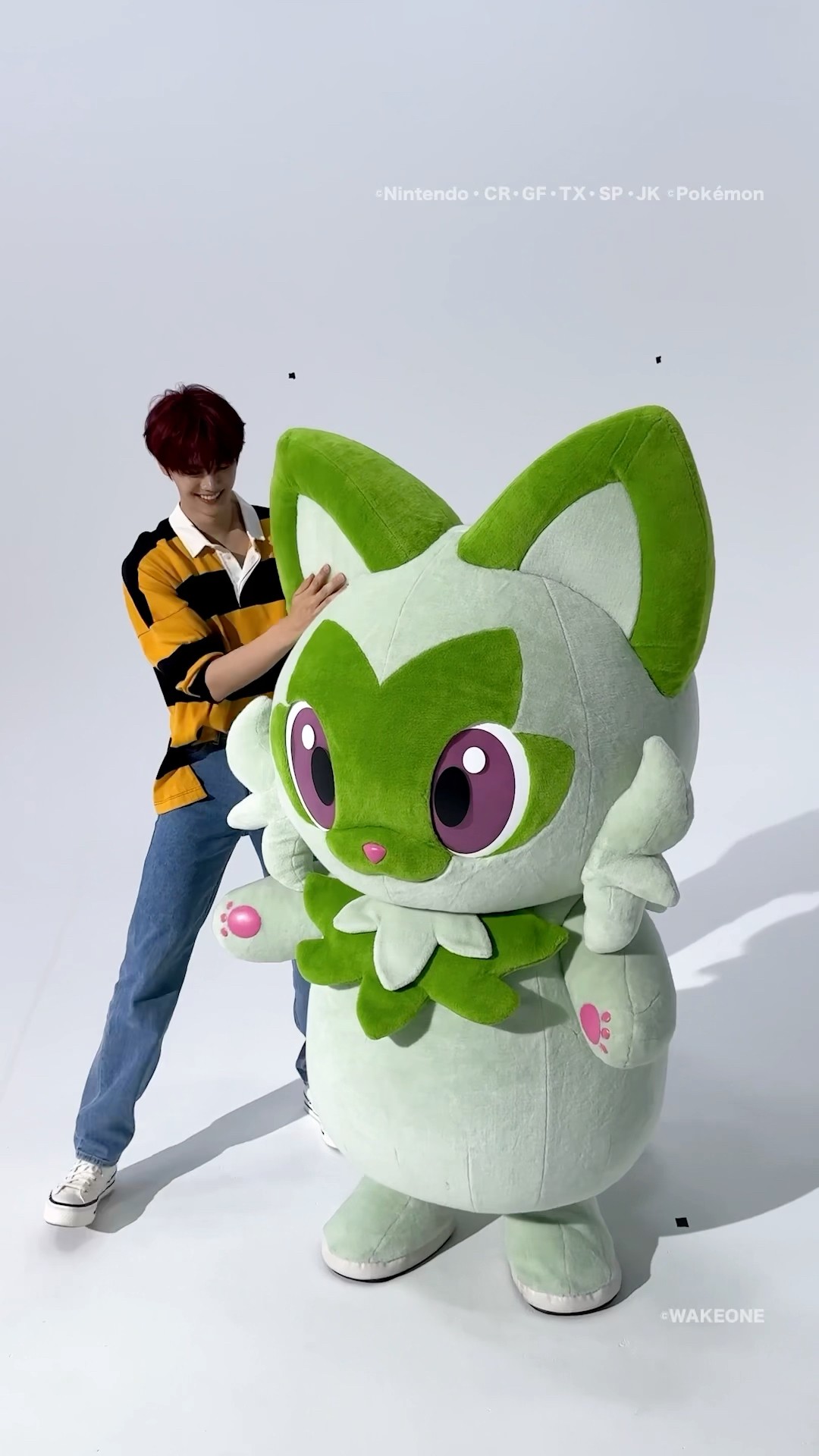 Only One Story with #ニャオハ 💚 ​⁠‪@PokemonCoJp‬ - YouTube