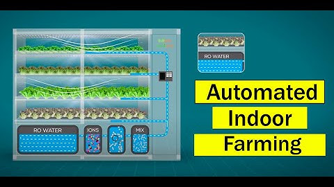 Indoor Hydroponic System | Automatic | Future Farm | Technology | Lights | Farming.
