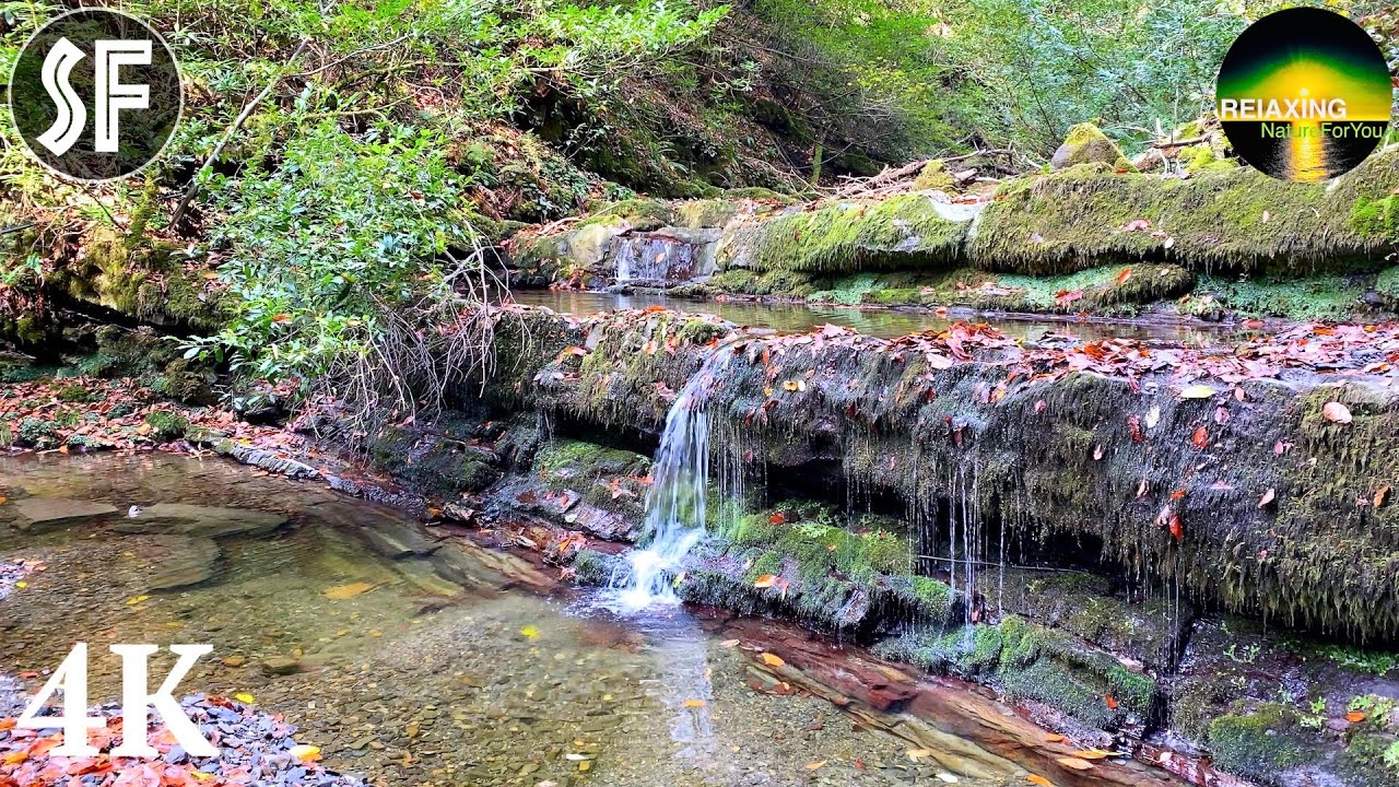 Спокойный ступенчатый водопад -  Звук струящейся и падающей воды - 7 Часов для Медитации, Йоги и Сна