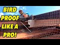 The how when and why to bird proofing your solar panels professionally  all one solar shine