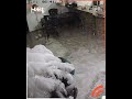 تفاصيل القبض على البلوجر هدير عبد الرازق في شقتها جوه الكومباوند الفخم مش هتصدق هددت الشرطة تفاصيل القبض على البلوجر هدير عبد الرازق في شقتها جوه الكومباوند الفخم مش هتصدق هددت الشرطة