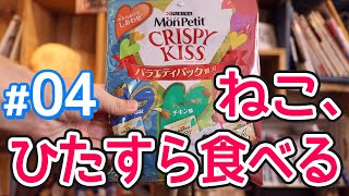 【カリカリ】モンプチ クリスピーキッス（チキン・おさかな・サーモン）をひたすら食べる